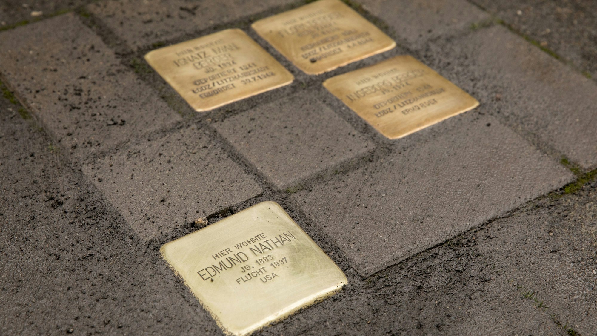 In Köln liegen inzwischen mehr als 2400 Stolpersteine.