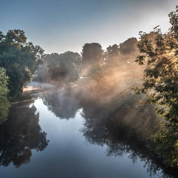 Die Wupper im Morgennebel