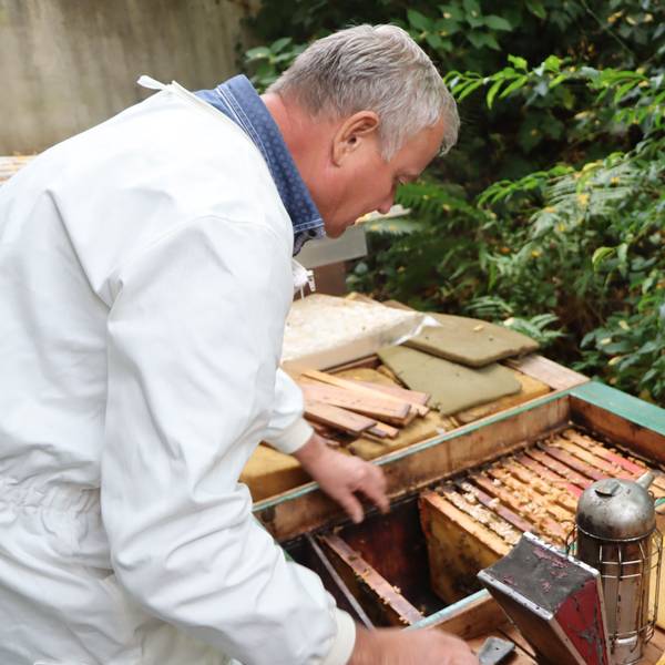 Der Imker Gero Meyer beugt sich über seine Bienenkästen, die in Brühl-Vochem stehen.