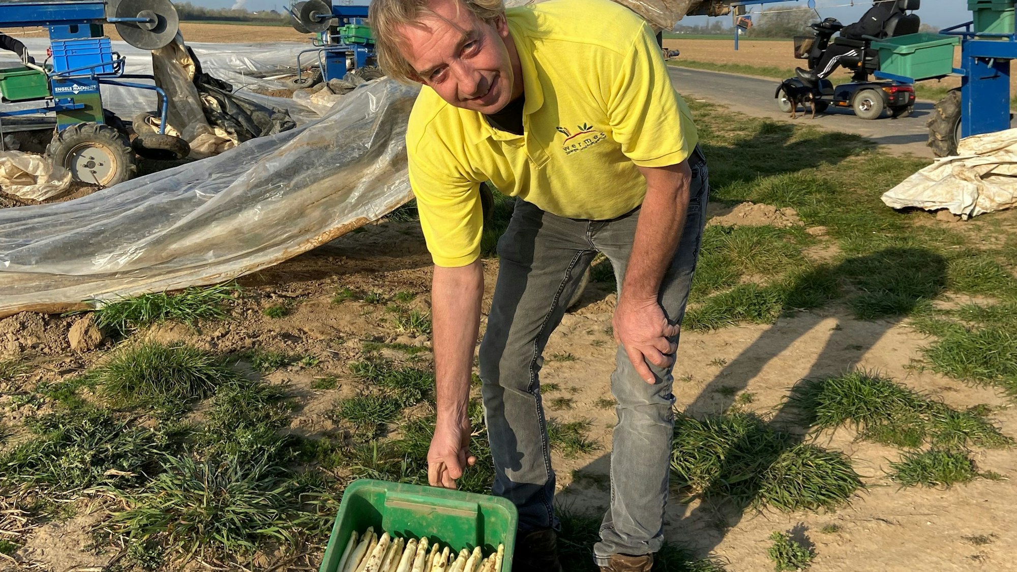 Zwei Wochen früher als sonst konnte Peter Wermes mit der Spargelernte beginnen. Die Heizung unter den Pflanzreihen macht das möglich.