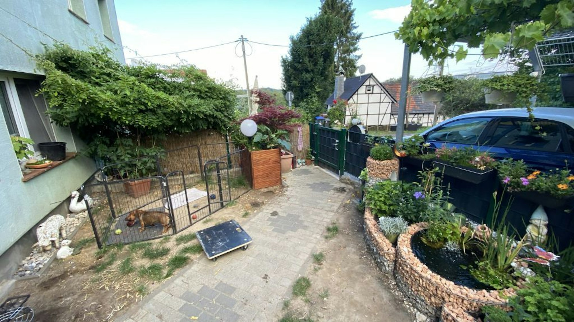 Im Garten ist auch ein Auslauf für den Hund zu finden.