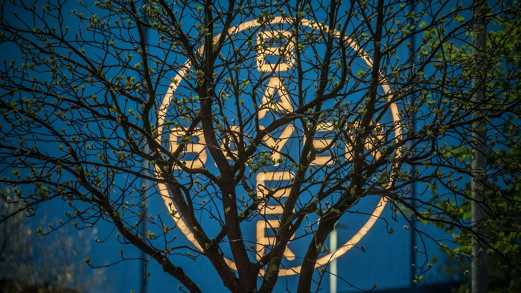 Das Bayer-Kreuz in Leverkusen bei Nacht. Der Konzern legte am Dienstag, 8. November 2022, seine Zahlen für das dritte Quartal vor.