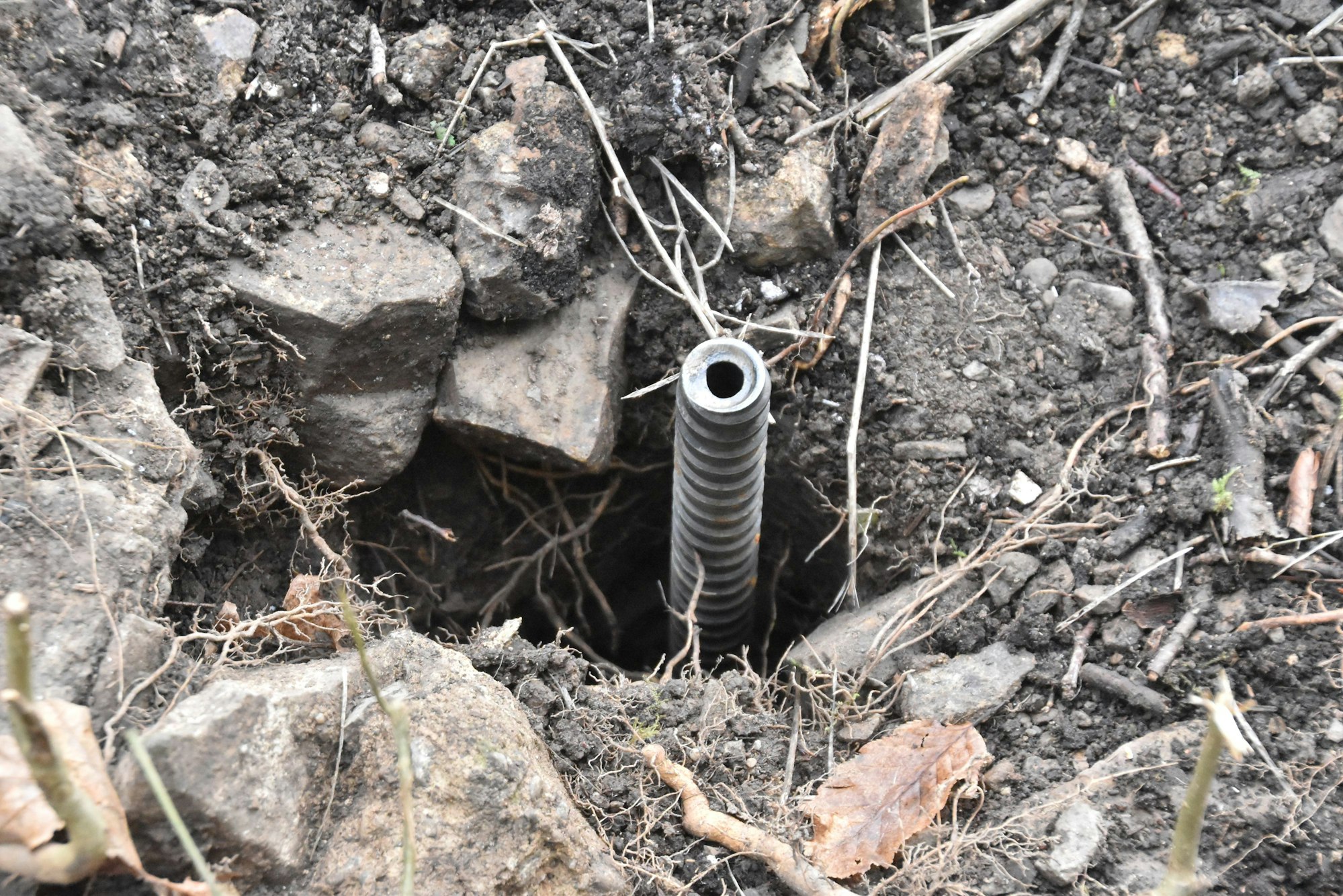 Hangsicherung am Burgberg der Ruine in Windeck