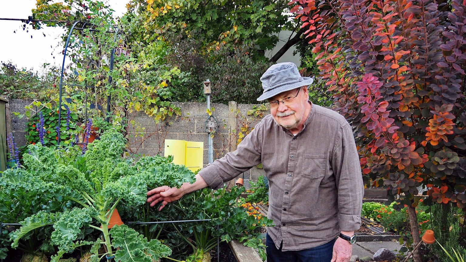 Kleingärtner Klaus Waskow in seinem Kleingarten in Köln-Raderthal