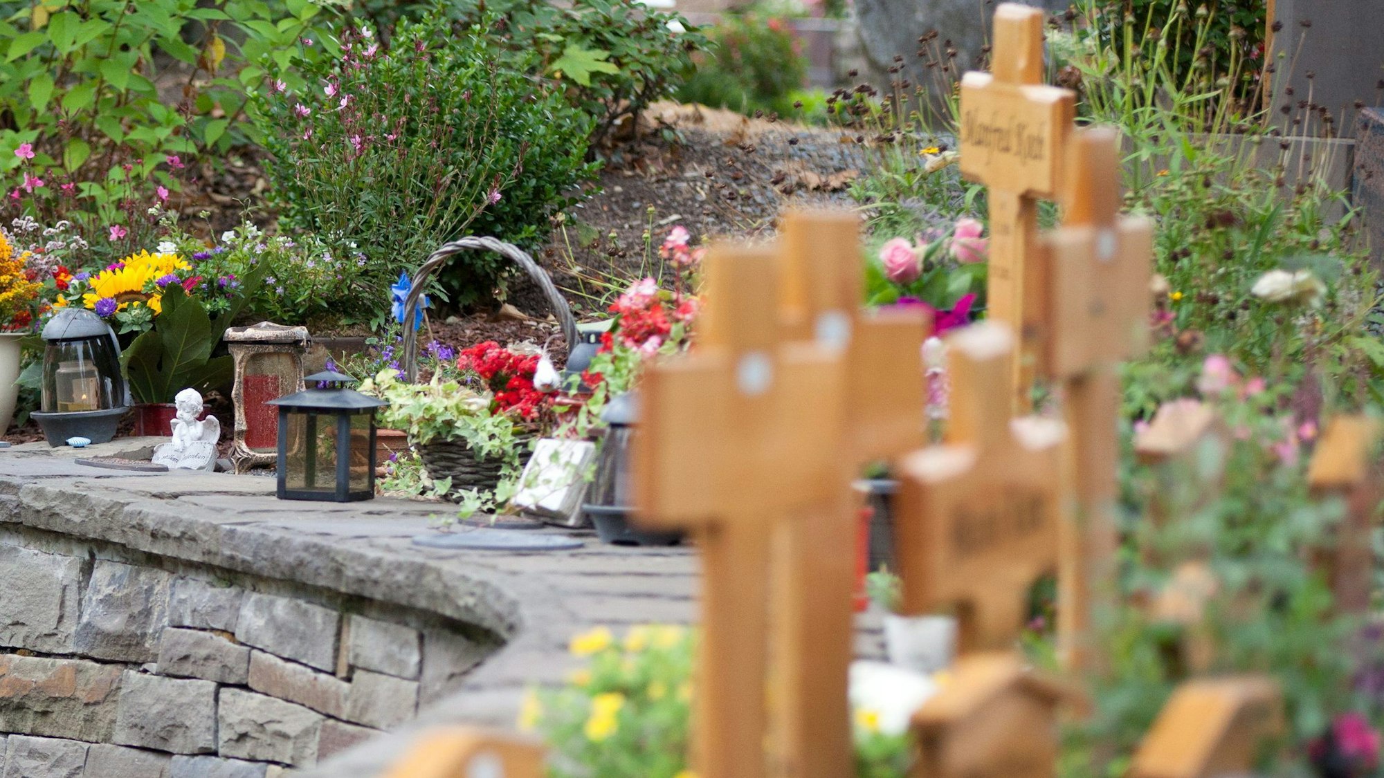 Auf Urnengräbern stehen kleine Holzkreuze, viele Blumen und Kerzen.