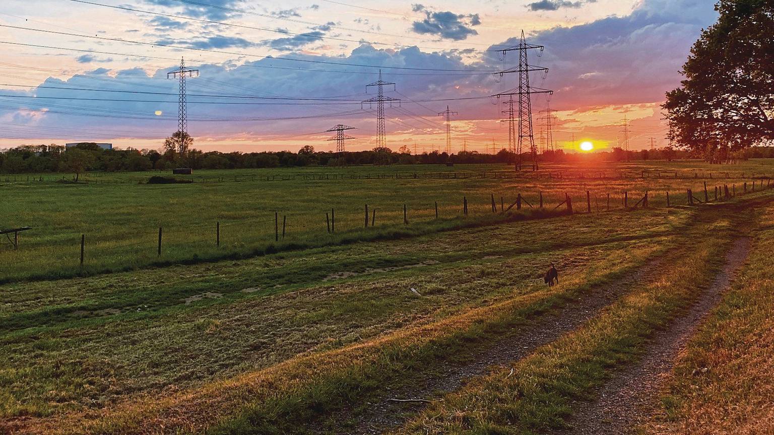 Sonnenuntergang im Mai, der Himmel ist blau, rot und gelb gefärbt. Davor stehen Strommasten.