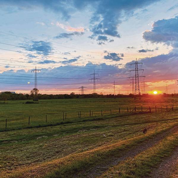Sonnenuntergang im Mai, der Himmel ist blau, rot und gelb gefärbt. Davor stehen Strommasten.