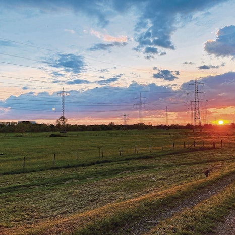 Sonnenuntergang im Mai, der Himmel ist blau, rot und gelb gefärbt. Davor stehen Strommasten.