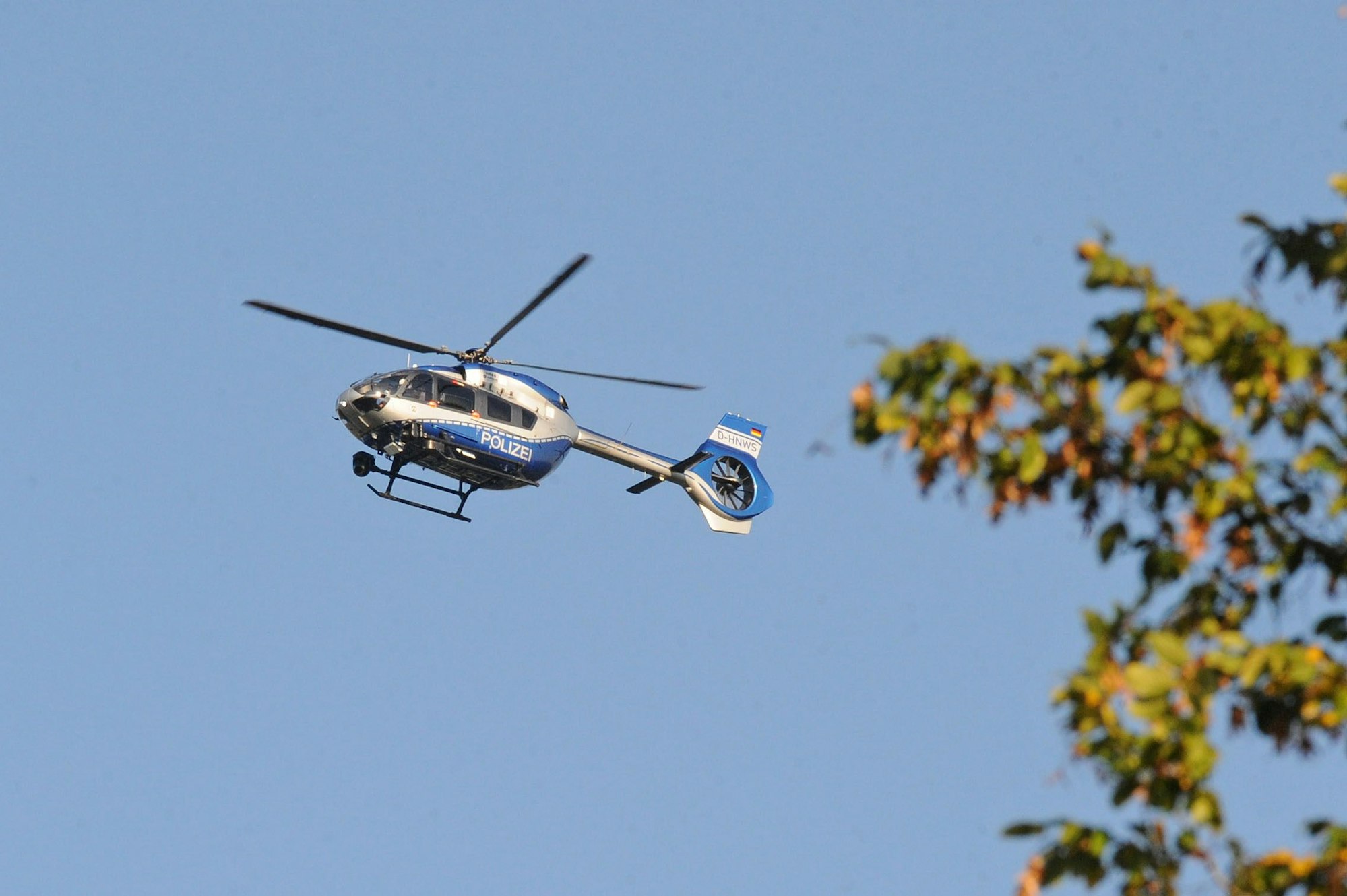 Ein silber-blauer Polizeihelikopter am blauen Himmel. Rechts im Bild sind Äste eines Baumes zu sehen.