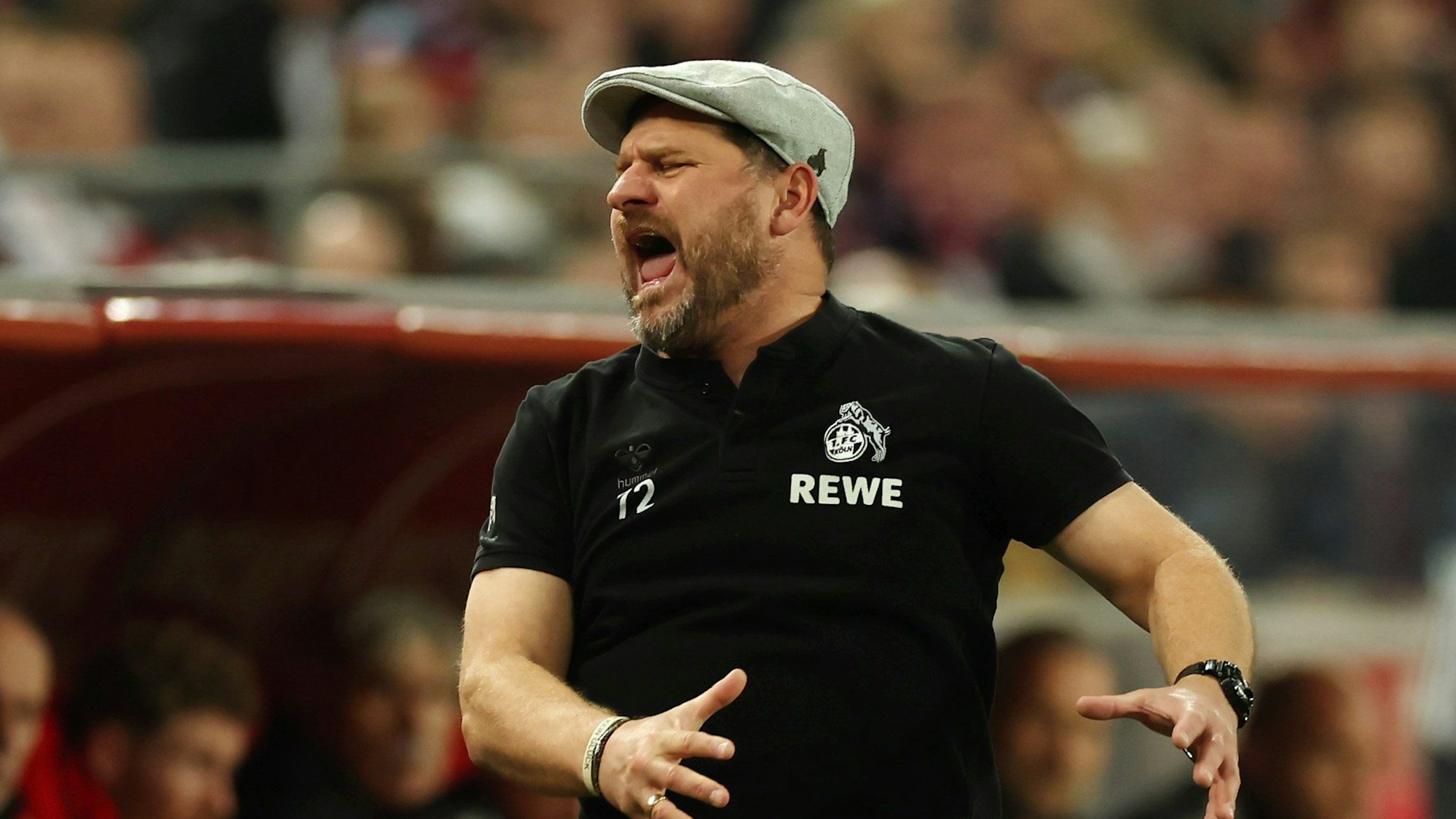 FC-Trainer Steffen Baumgart an der Seitenlinie