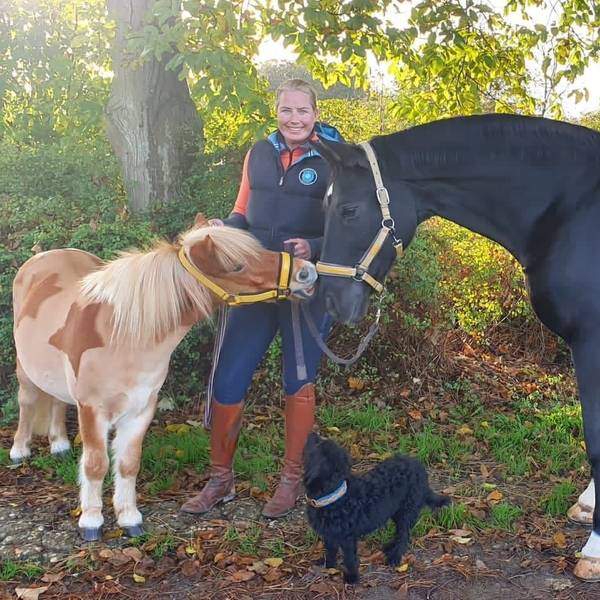 Die Pferdewirtschaftsmeisterin Inken Schillings steht mit einem Hund, einem Pony und einem Pferd im Wald.