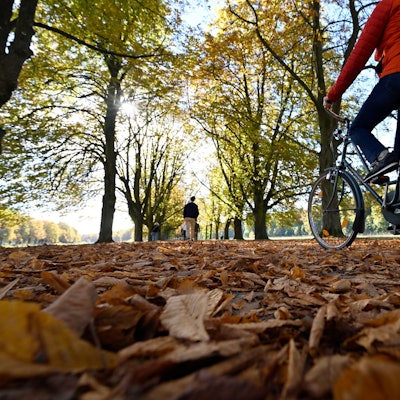 Spaziergänger und eine Radfahrerin nutzen den Sonnenschein für einen Aufenthalt im Kölner Grüngürtel am Decksteiner Weiher in Köln.
