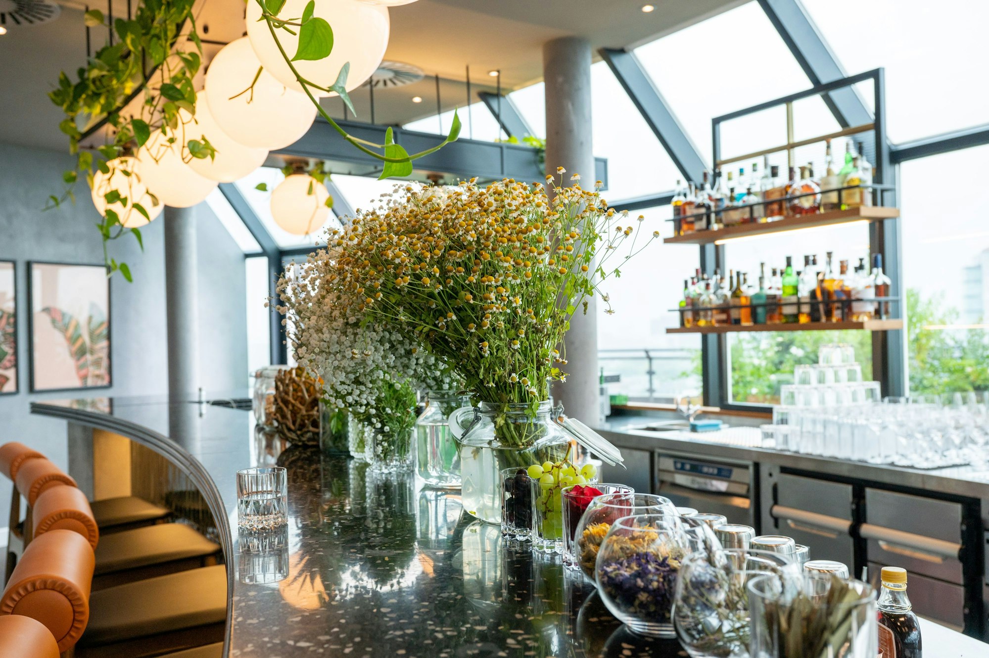 Die Theke der Bar Botanik im Hotel Wasserturm.