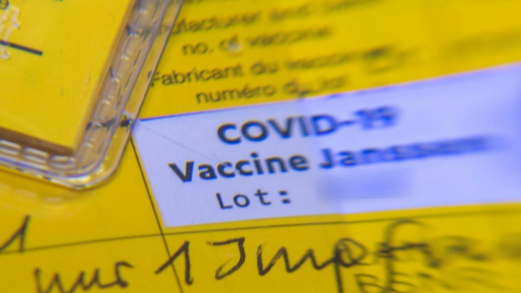 Ein Impfpass unter der Lupe