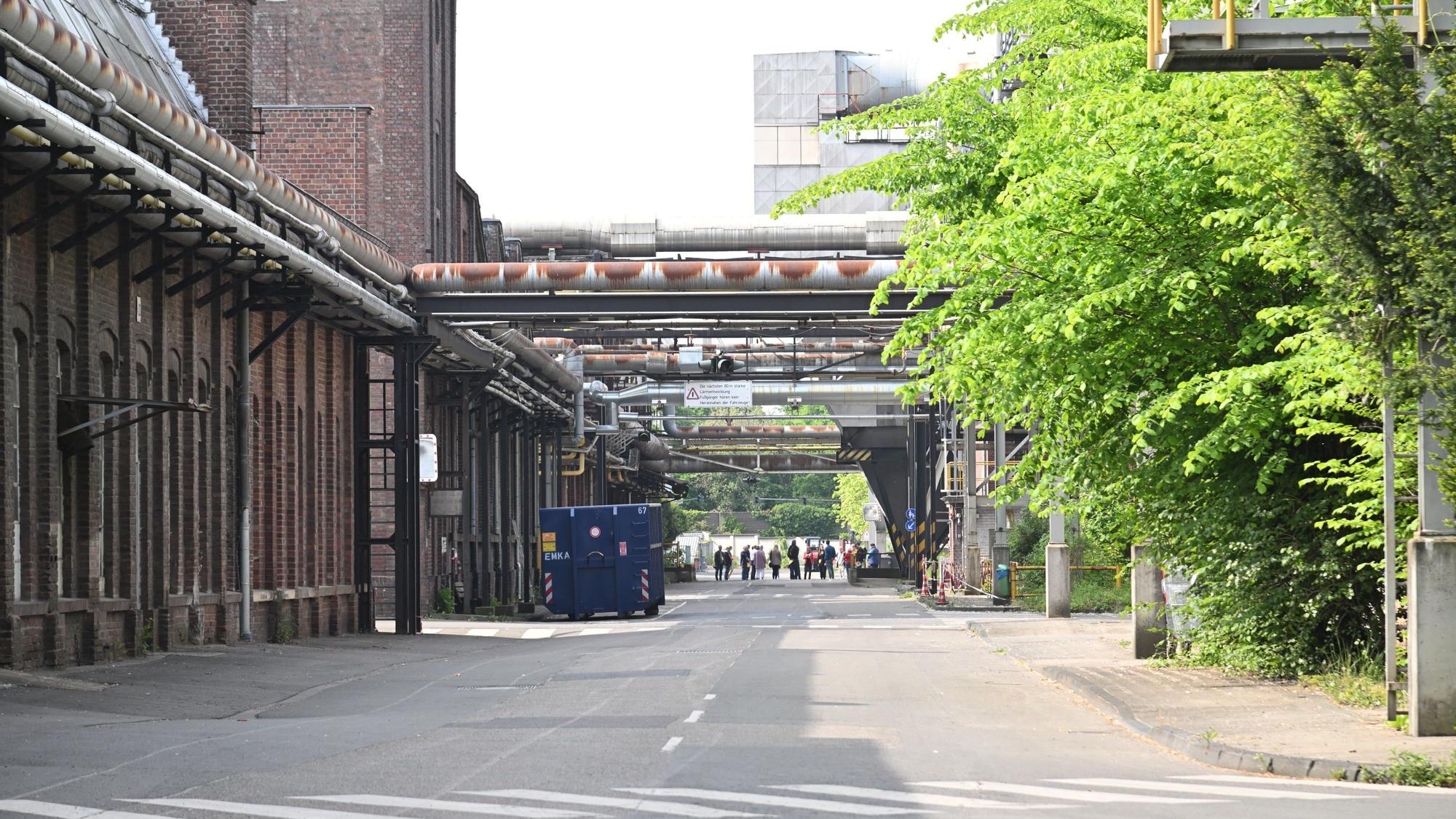 Eine Straße auf dem Zanders-Werksgelände. Links alte Fabrikhallen, rechts Bäume und Büsche, dazwischen Rohre, Brücken, ein Container.