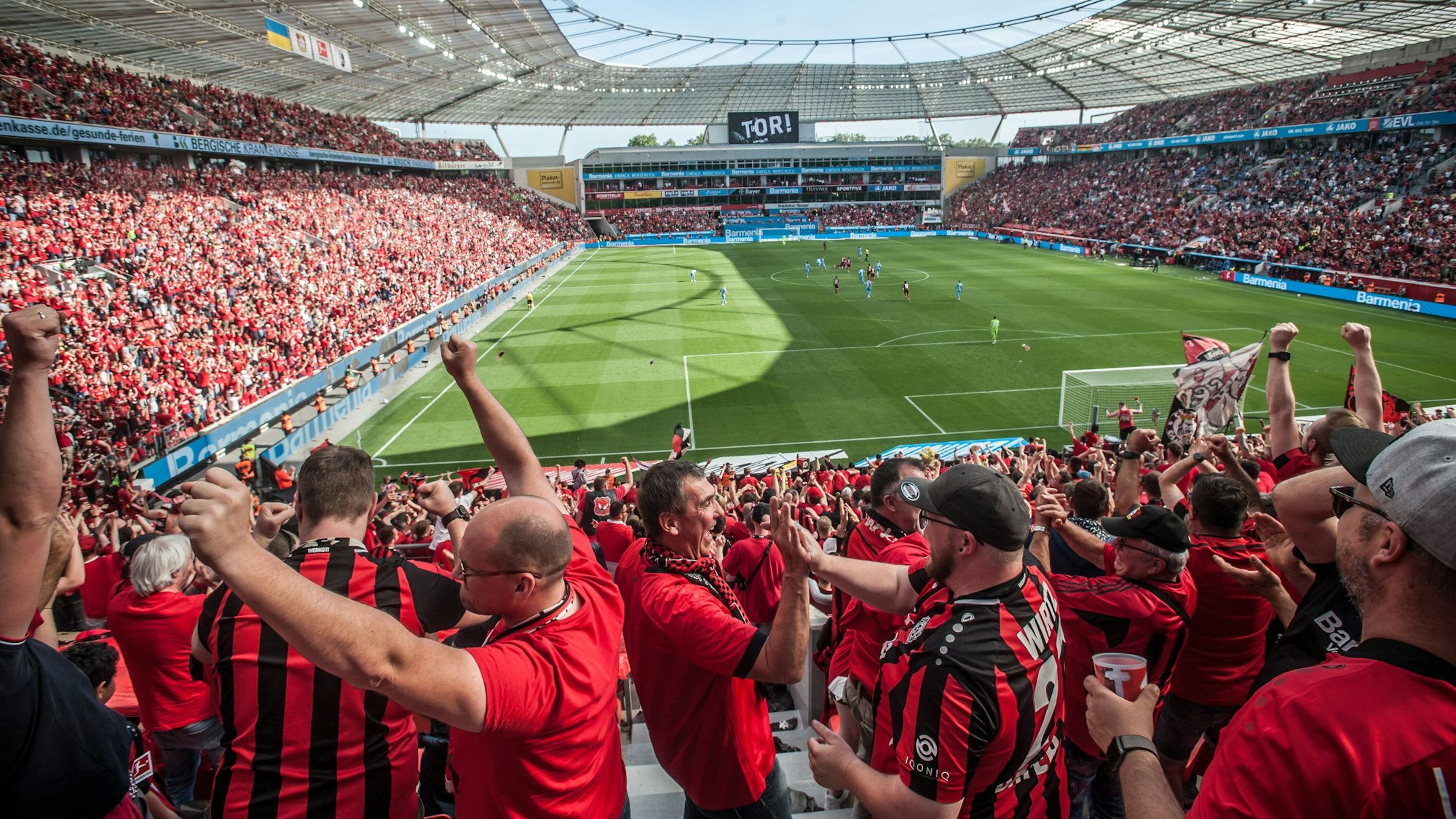 Bayer-04-Fans jubeln im ausverkauften Leverkusener Stadion