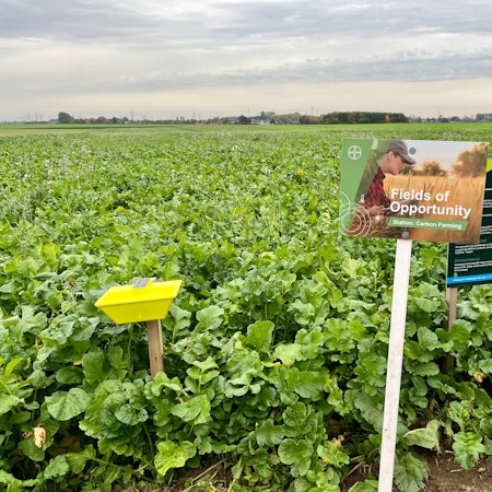 Ein Feld auf dem Damianshof in Rommerskirchen. Er ist eine von Bayers „Forward Farms“.