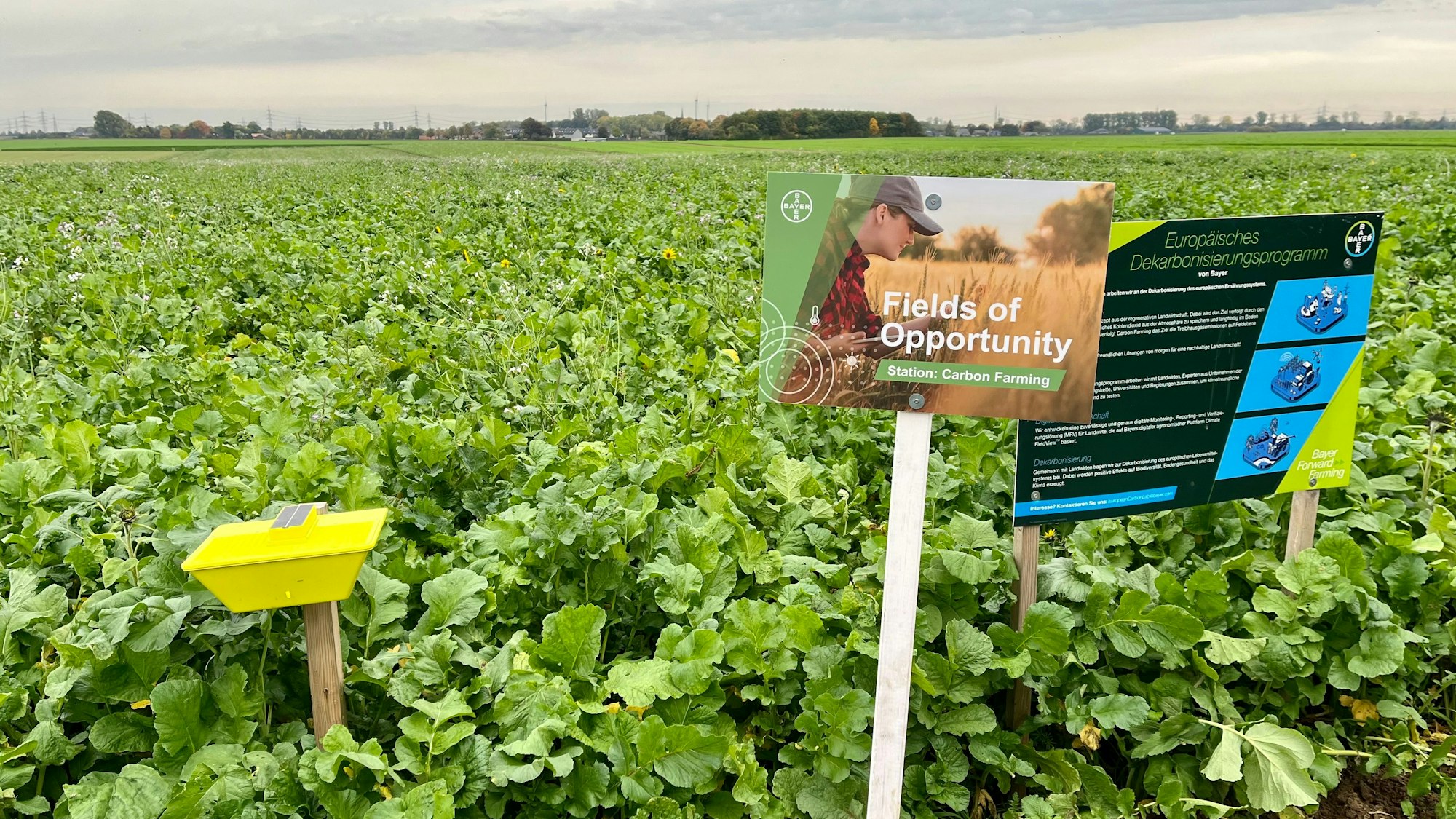 Ein Feld auf dem Damianshof in Rommerskirchen. Er ist eine von Bayers „Forward Farms“.