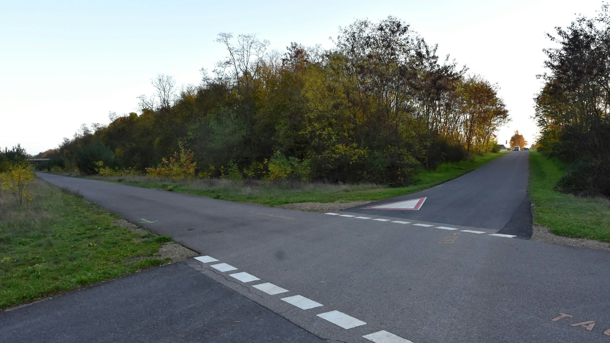 Zwei Straßen, die sich kreuzen. Am Rand Bäume und Büsche.