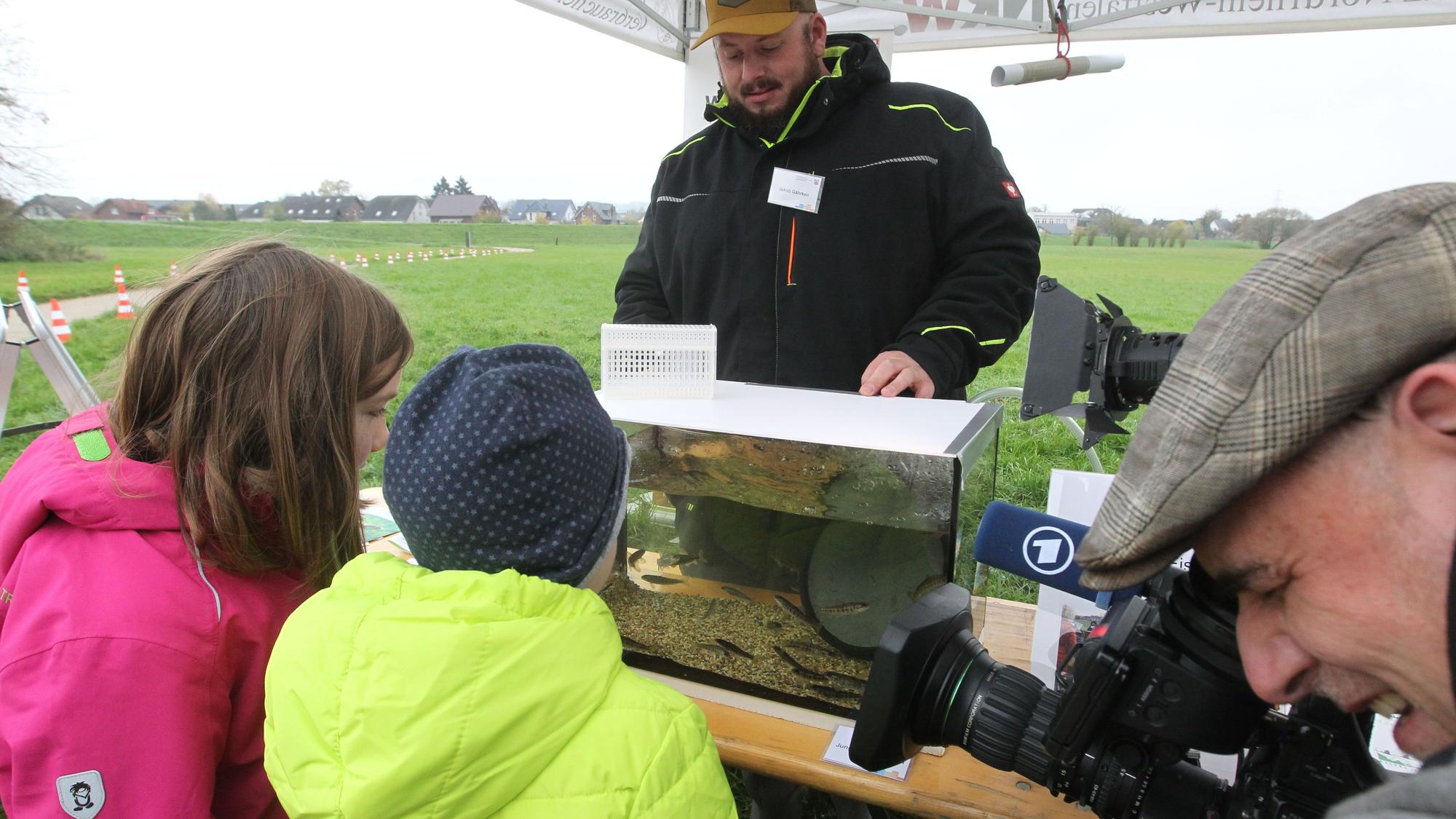 Schüler stehen vor einem Aquarium mit jungen Lachsen am Siegwehr in Sankt Augustin-Buisdorf.