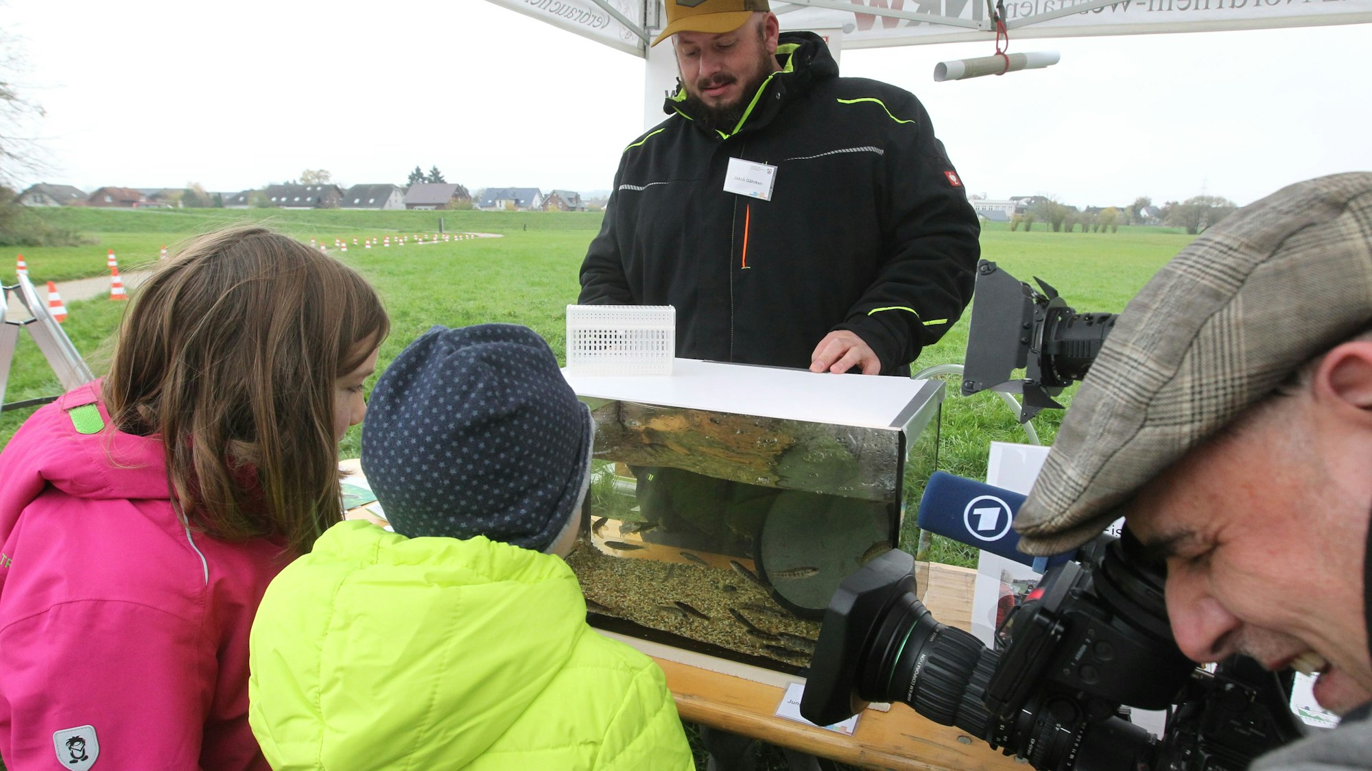 Schüler stehen vor einem Aquarium mit jungen Lachsen am Siegwehr in Sankt Augustin-Buisdorf.