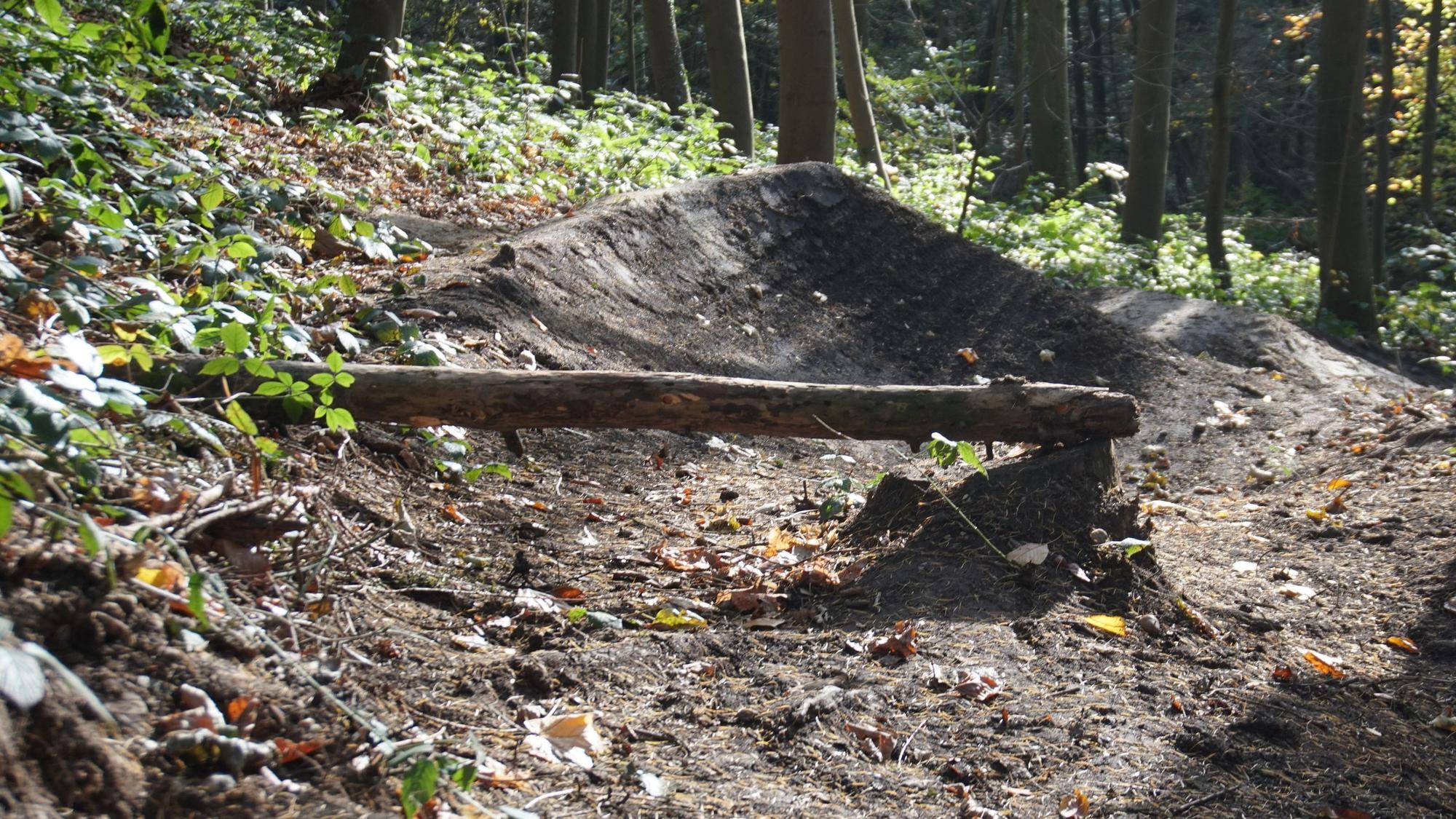 Mit querliegenden Baumstämmen und Erdhügeln haben Mountainbiker Rampen gebaut.