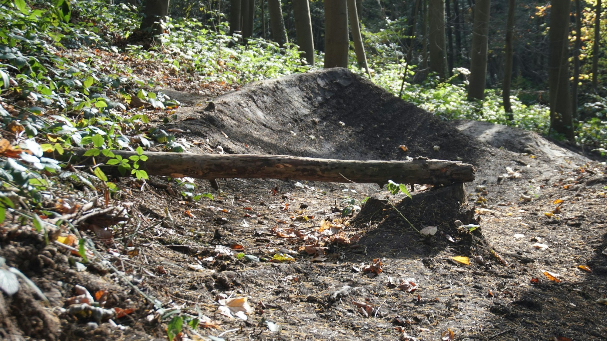 Mit querliegenden Baumstämmen und Erdhügeln haben Mountainbiker Rampen gebaut.