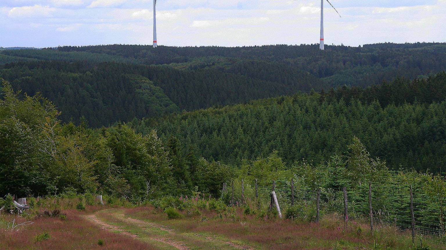 Blick in Richtung des aus Artenschutzgründen als sensibel eingeschätzten Rotbachtals mit Rotoren des Windparks Dahlem IV im Hintergrund.