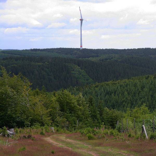 Blick in Richtung des aus Artenschutzgründen als sensibel eingeschätzten Rotbachtals mit Rotoren des Windparks Dahlem IV im Hintergrund.