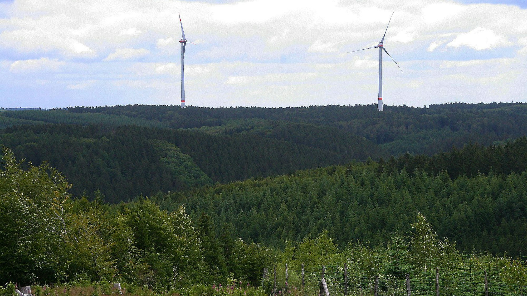 Blick in Richtung des aus Artenschutzgründen als sensibel eingeschätzten Rotbachtals mit Rotoren des Windparks Dahlem IV im Hintergrund.