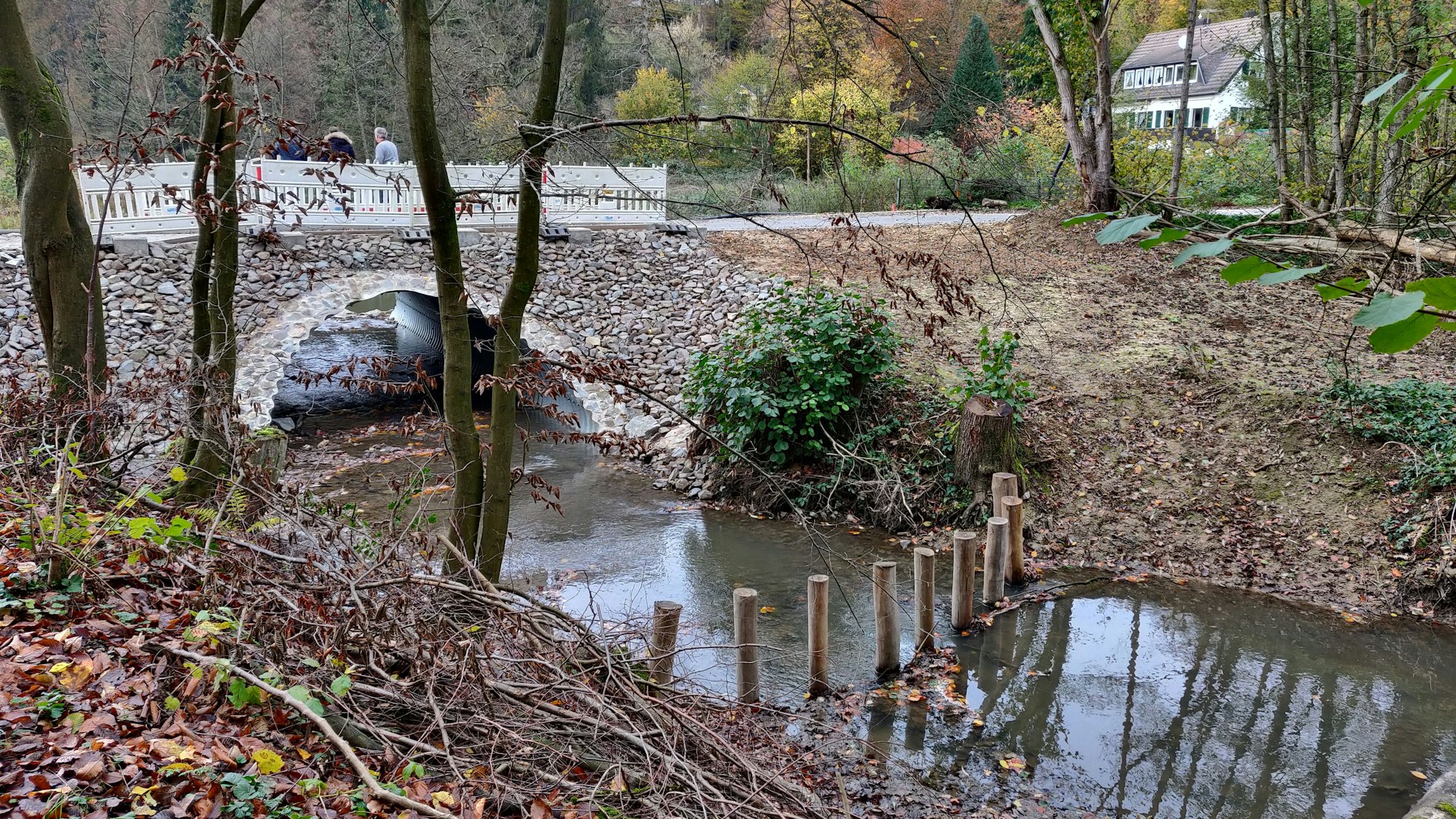 Holz-Palisaden im Bachbett vor dem neuen Durchlass des Murbachs sollen die Brücke vor Treibgut schützen.