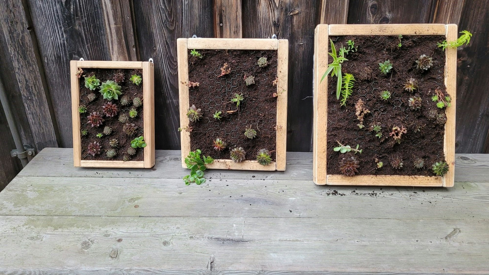 Drei fertige Pflanzkästen von dem Projekt „Begrüne deine Stadt“ stehen an eine Wand gelehnt nebeneinander aufgereiht.