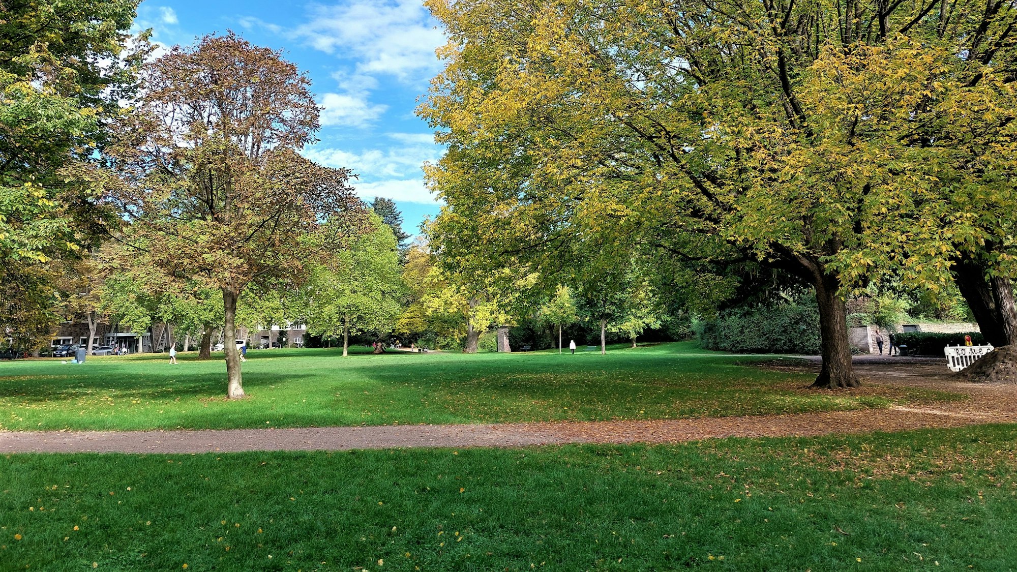 Im Friedenspark in der Südstadt stehen über 100 Jahre alte Bäume.