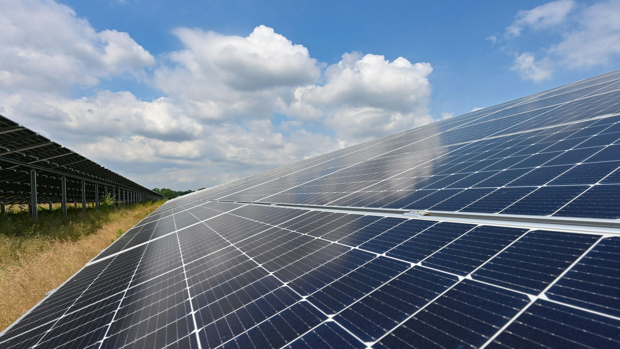 Das Symbolbild zeigt die Module eines Solarparks im Oderbruch.