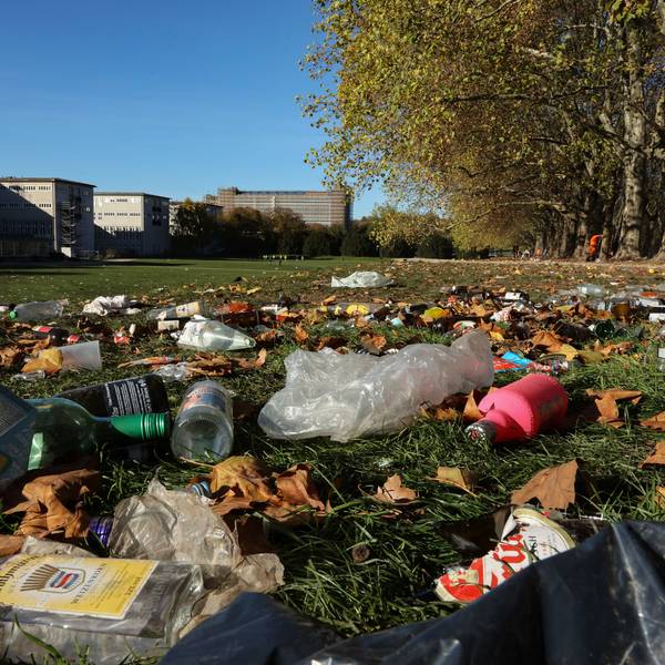 Auf dem Bild ist die Uniwiese nach dem 11.11 zu sehen, dort liegt viel Müll.