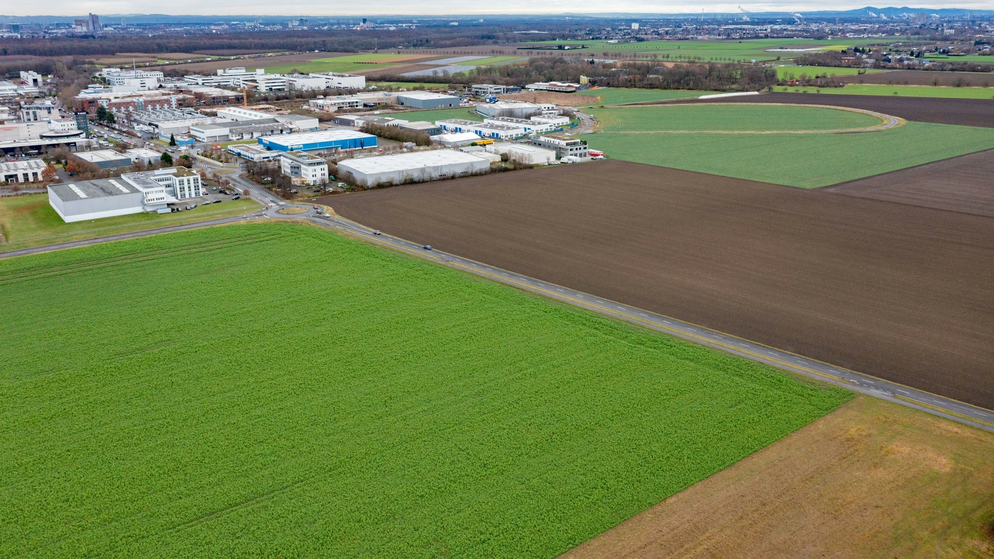 Die Toyota-Allee in Marsdorf. Das grünen Feld links ist eine mögliche Fläche für den Großmarkt, das braune Feld rechts wäre ein möglicher Standort für das FC-Leistungszentrum. Foto: Uwe Weiser