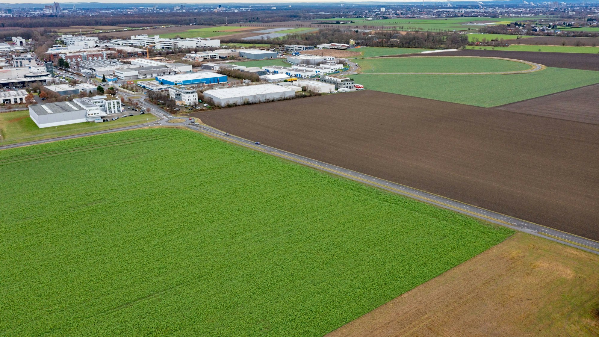 Das Bild zeigt einen Acker bei der A1.