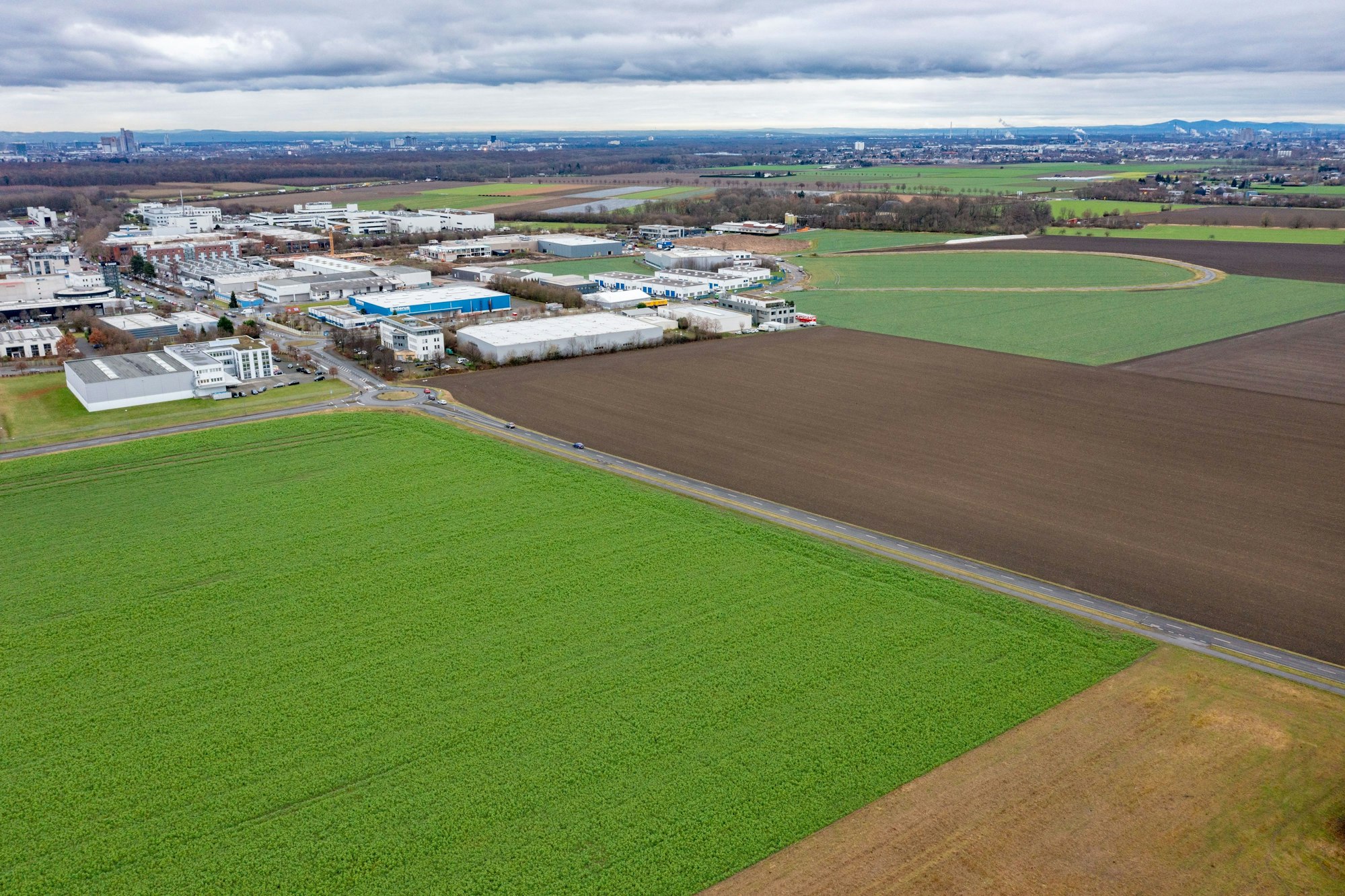 Das Bild zeigt den Bereich, auf dem der 1. FC Köln bald bauen könnte.