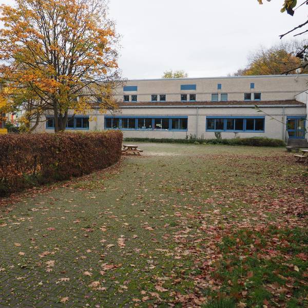 Man sieht einen leeren Schulhof mit einem Baum und Hecke, im Hintergrund das Schulgebäude.