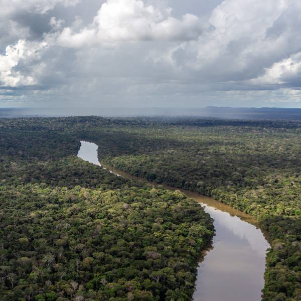 Auf diesem Bild ist ein Fluss zu sehen, der durch das Amazonas fließt.
Der Regenwald in Brasilien ist wichtig für das Klima der ganzen Erde.
