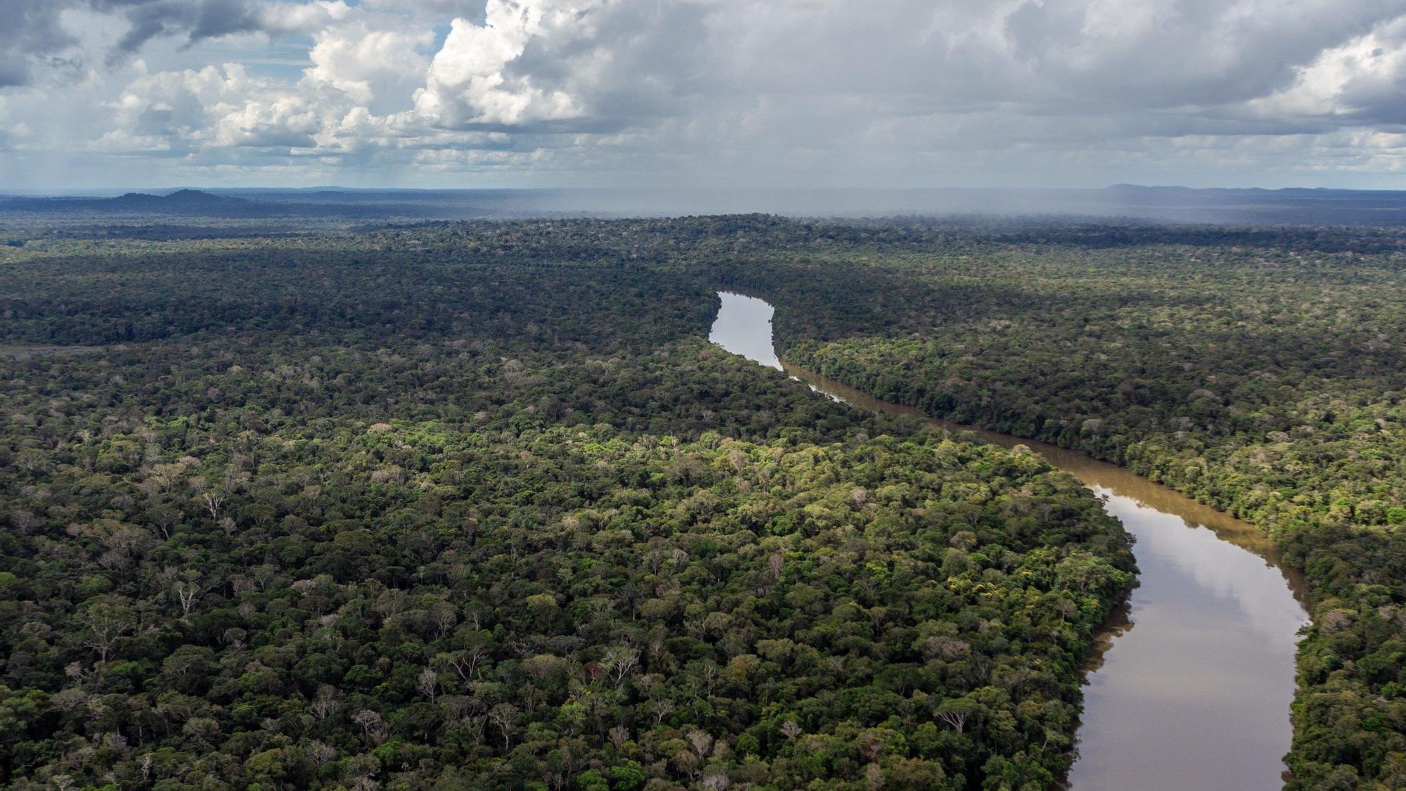 Auf diesem Bild ist ein Fluss zu sehen, der durch das Amazonas fließt.
Der Regenwald in Brasilien ist wichtig für das Klima der ganzen Erde.