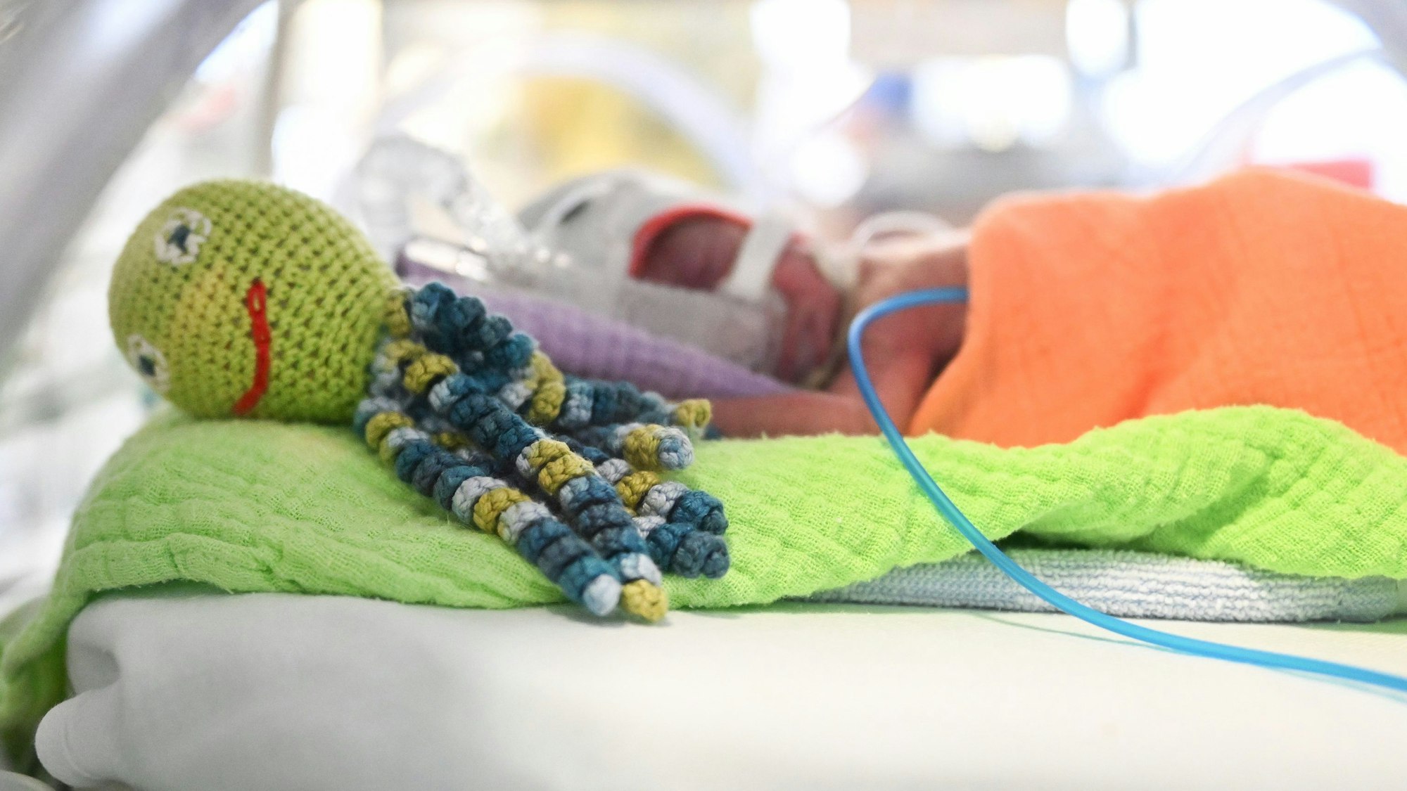 Ein Frühchen liegt in einem Brutkasten, angeschlossen an Schläuche. Im Vordergrund liegt ein Kuscheltier.