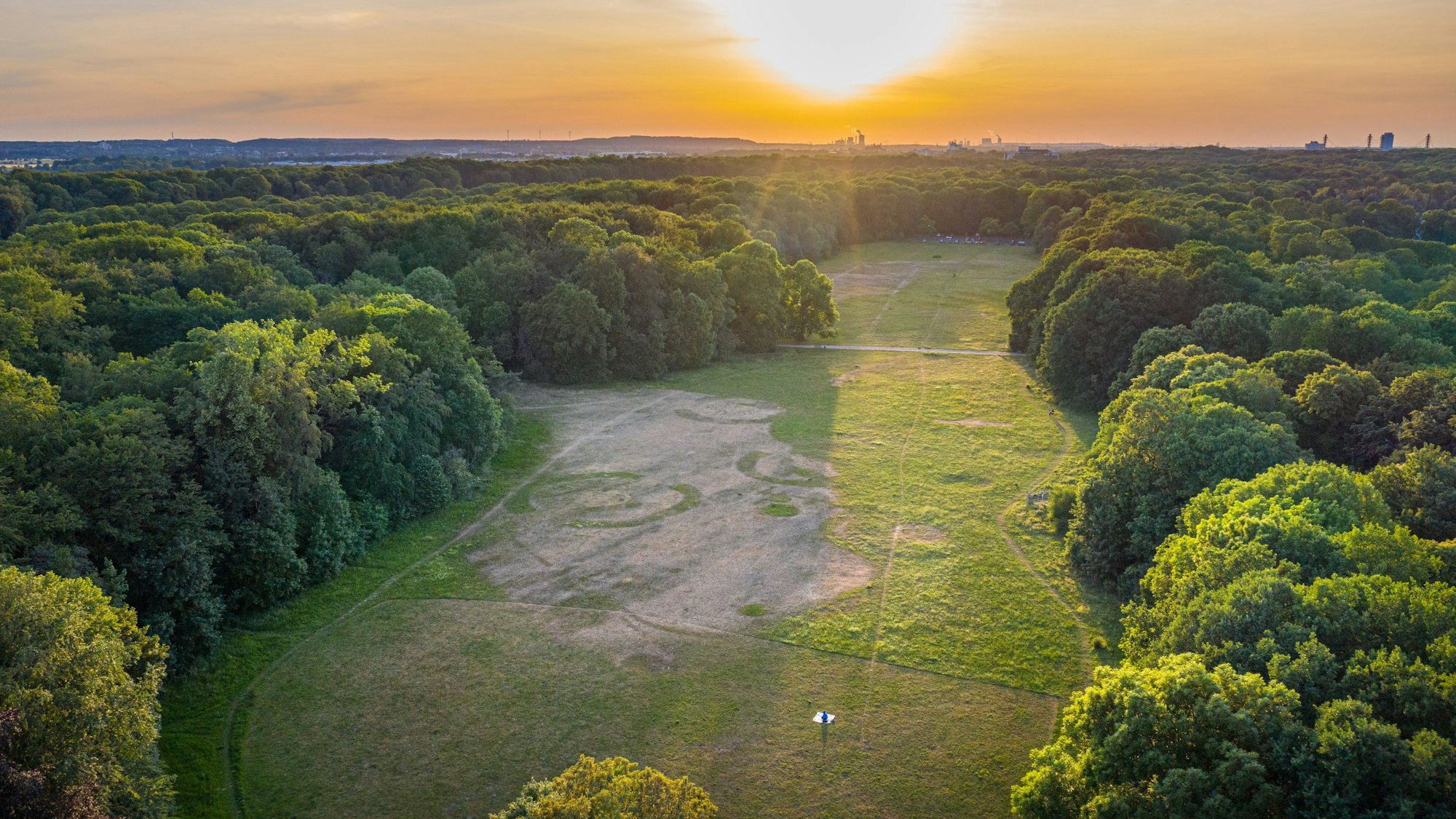 Das Bild zeigt die Gleueler Wiese im Äußeren Grüngürtel.