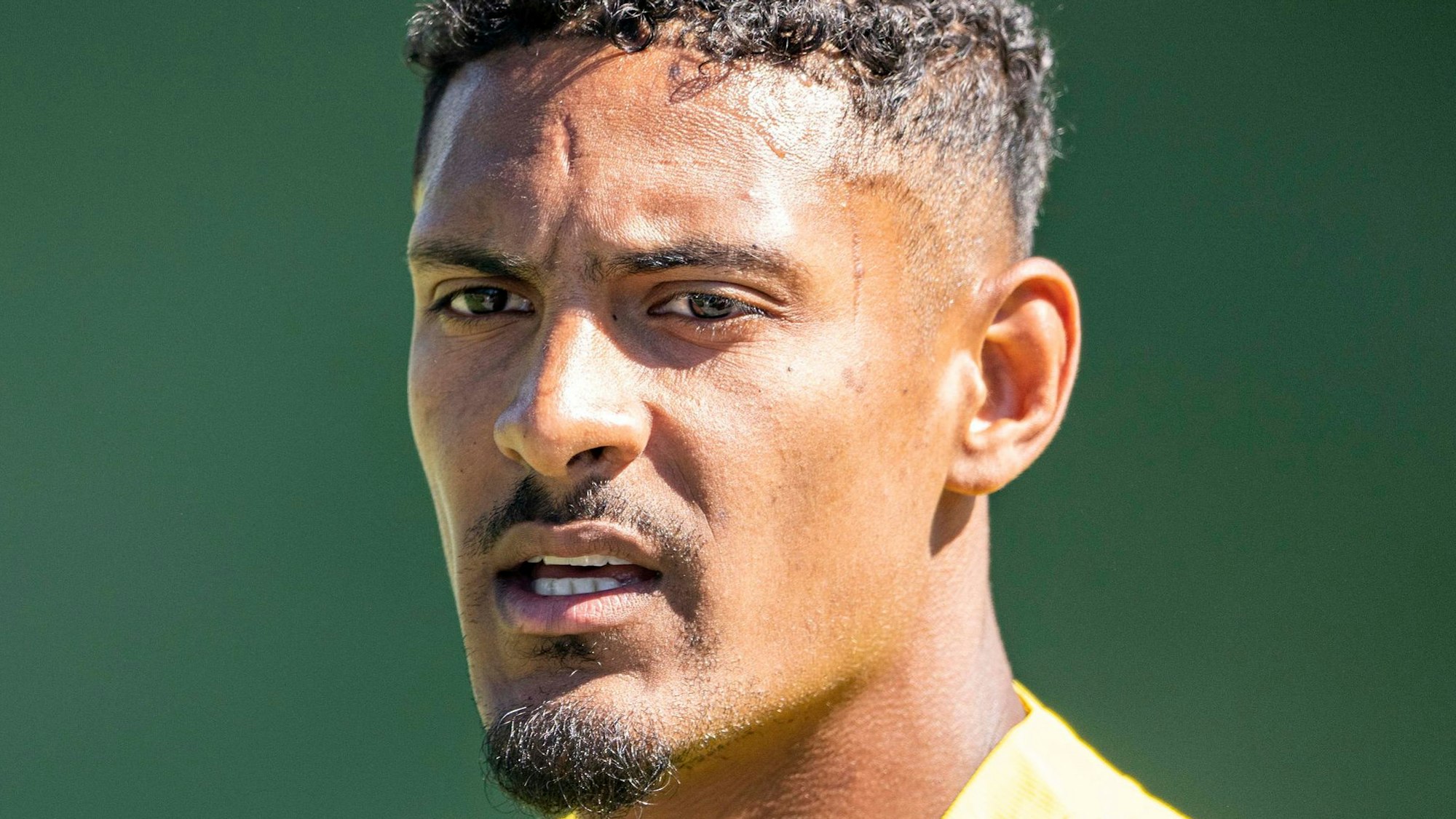 Borussia Dortmunds Sebastien Haller