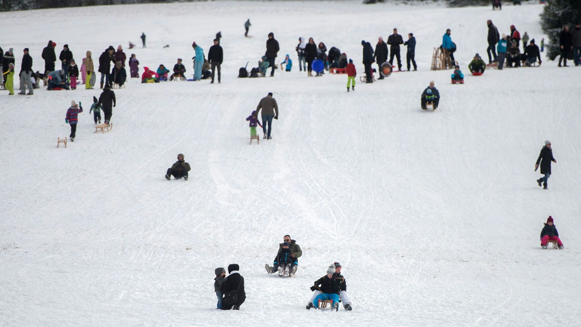 Menschen rodeln einen Hang des Michelsbergs hinunter