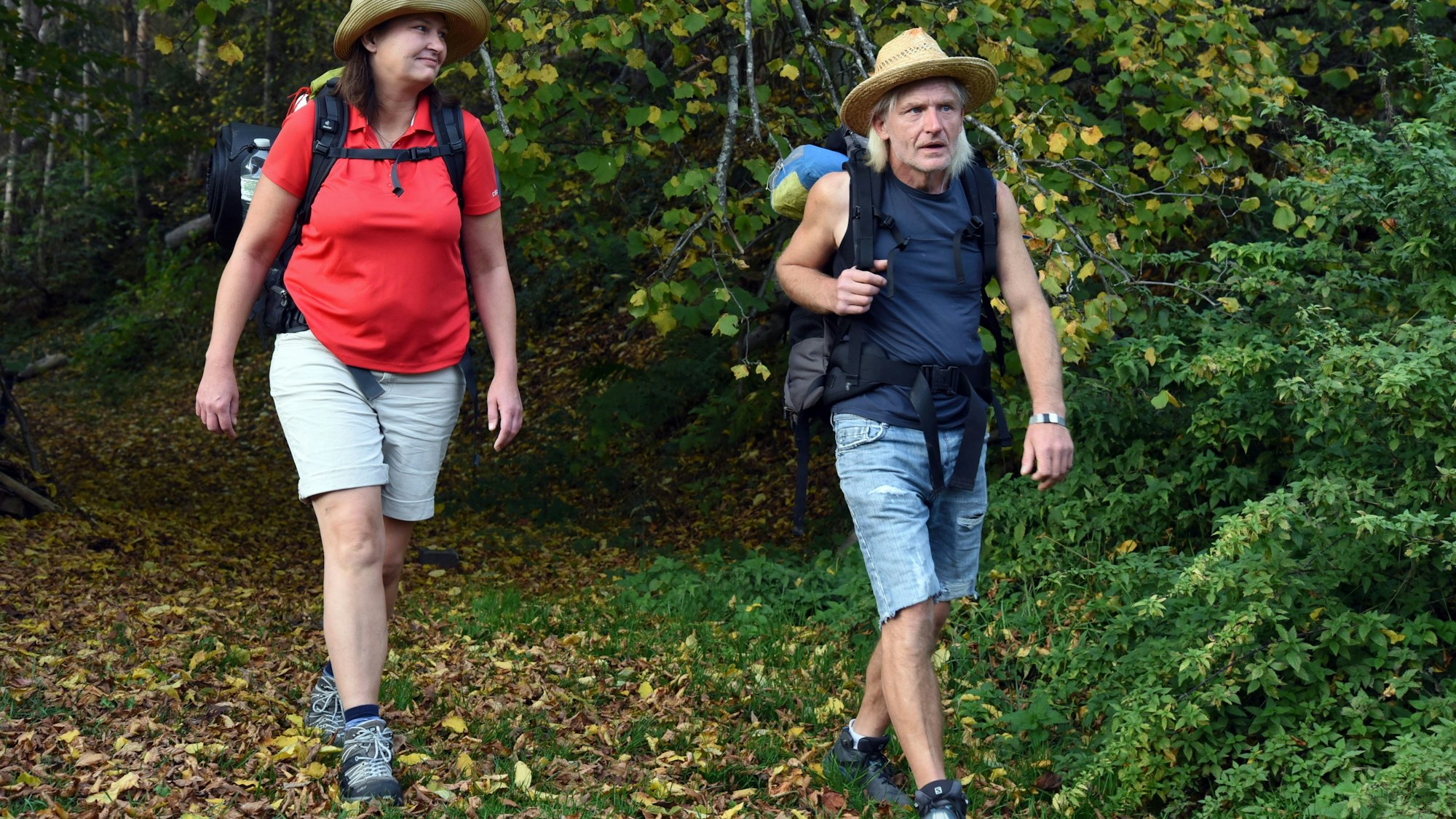 Die beiden Wanderer sind in einem Waldstück unterwegs.