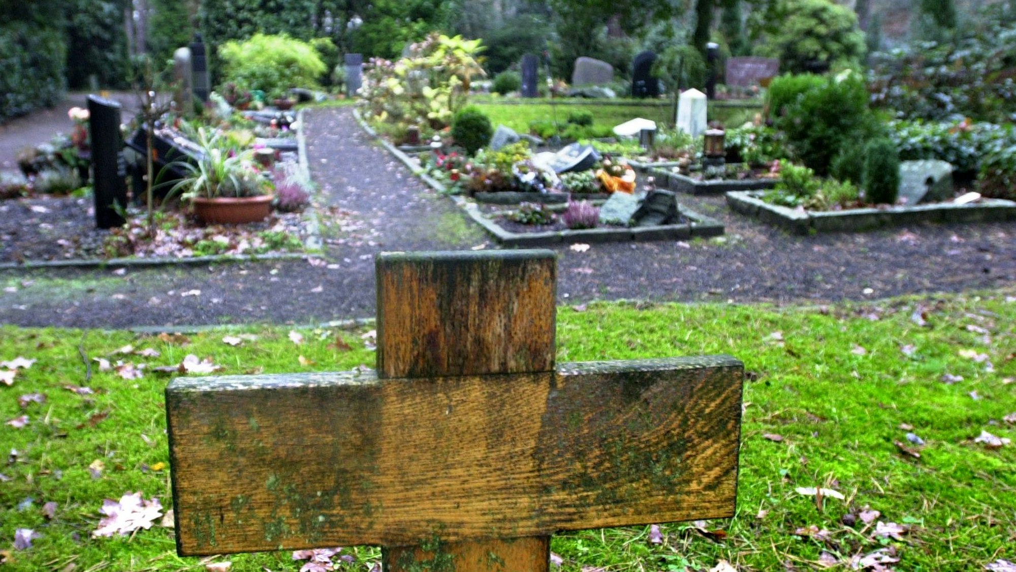 Gräber auf dem städtischen Leichlinger Friedhof Kellerhansberg.