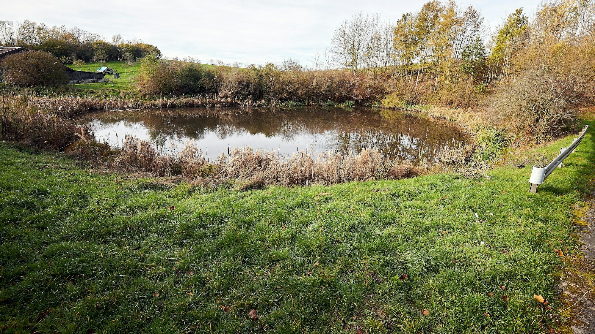 Das Regenrückhaltebecken an der Autobahn 1 bei Nettersheim-Engelgau ist verschlammt und sosoll saniert werden.