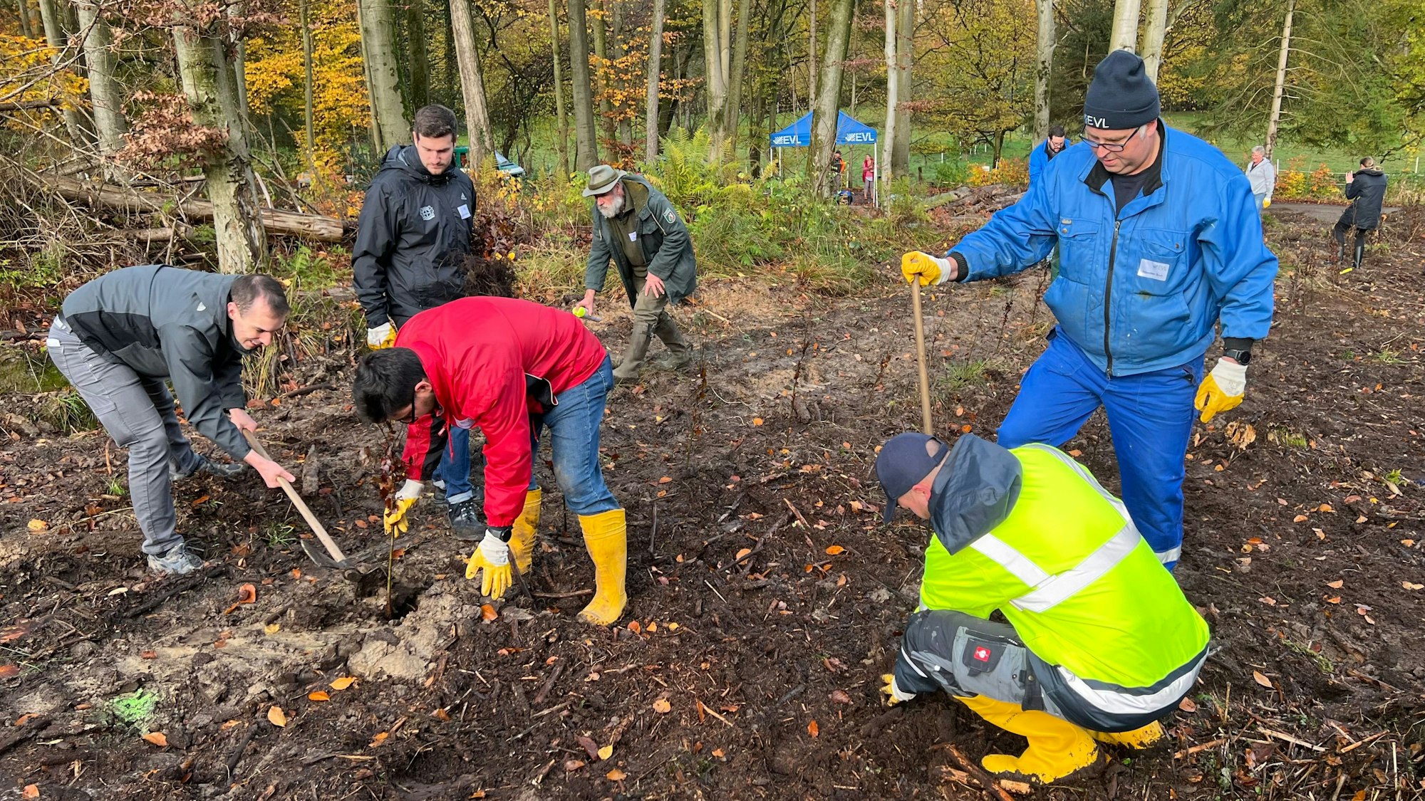 EVL-Pflanzaktion bei Diepental, EVL-Mitarbeiter sind mit Schaufel und Hacke beschäftigt, die jungen Bäume zu setzen