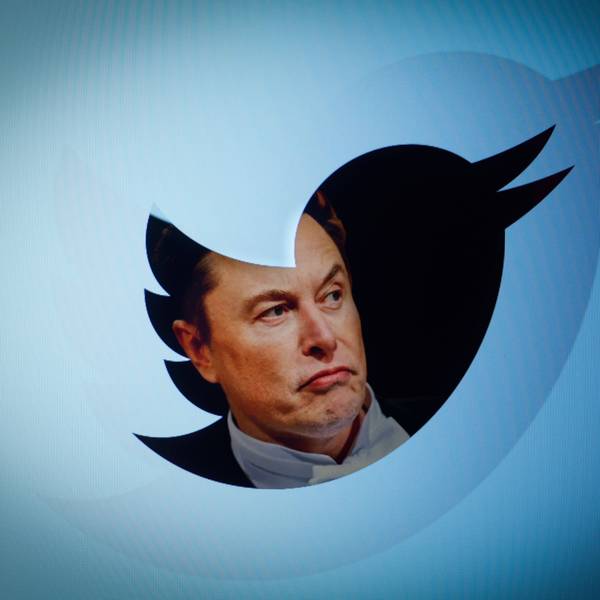 Twitter-Chef Elon Musk ist in einer Fotomontage innerhalb des Twitter-Logos, einem blauen Vogel, abgebildet.
